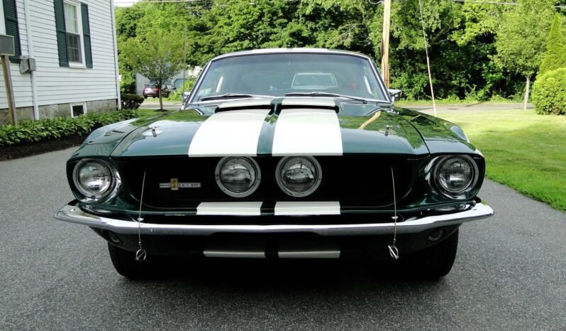 
								1967 Ford Mustang Shelby Recreation full									