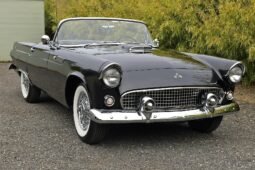 1955 Ford Thunderbird