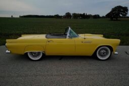 1955 Ford Thunderbird Roadster