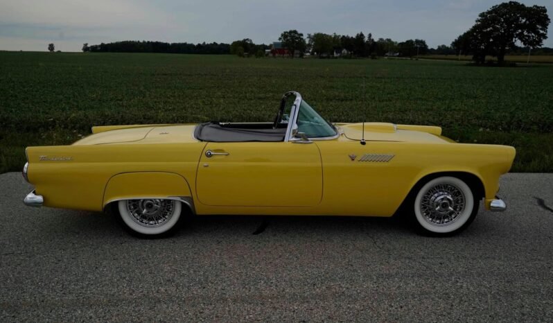 
								1955 Ford Thunderbird Roadster full									