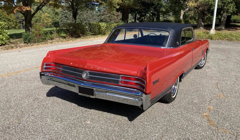 
								1964 Buick Wildcat full									