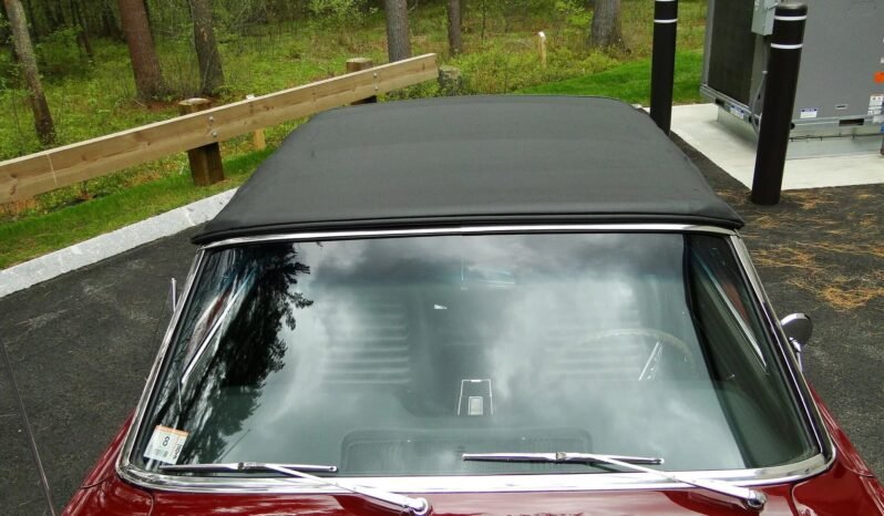 
								1965 Ford Mustang V8 Convertible full									