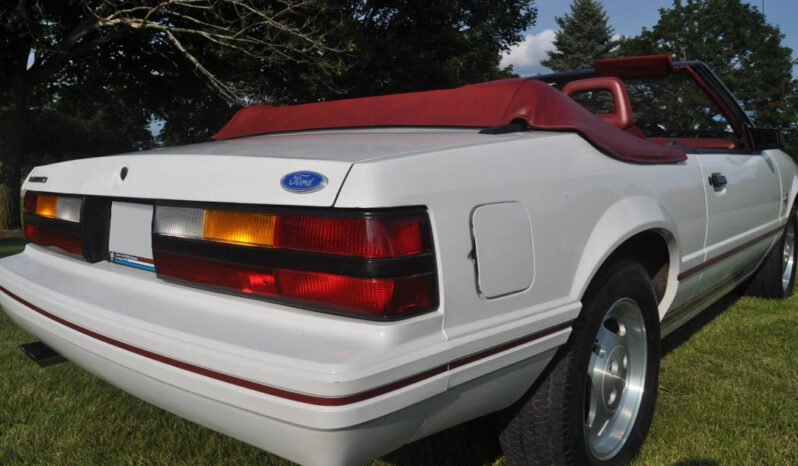 
								1984 Ford Mustang GT full									