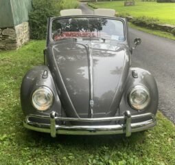 1959 Volkswagen Beetle Convertible