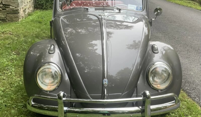 
								1959 Volkswagen Beetle Convertible full									