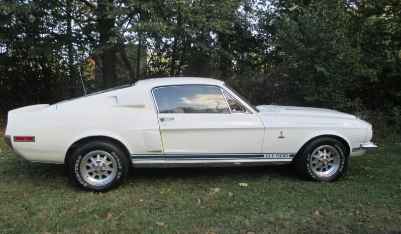 
								1968 Shelby Mustang GT500 V8 Wimbledon White full									
