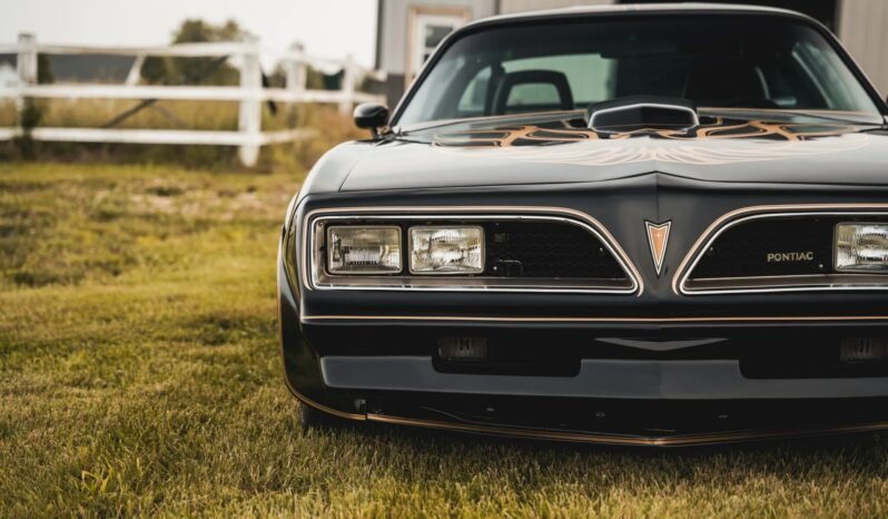 
								1977 Pontiac Firebird full									