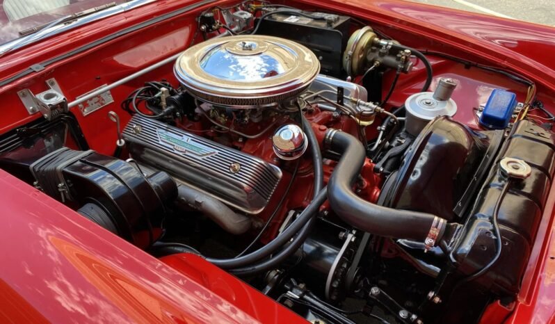 
								1955 Ford Thunderbird Roadster V8 full									