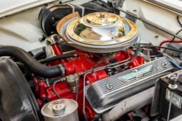 1955 Ford Thunderbird White