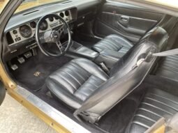 
										1978 Pontiac Firebird Trans AM Gold full									