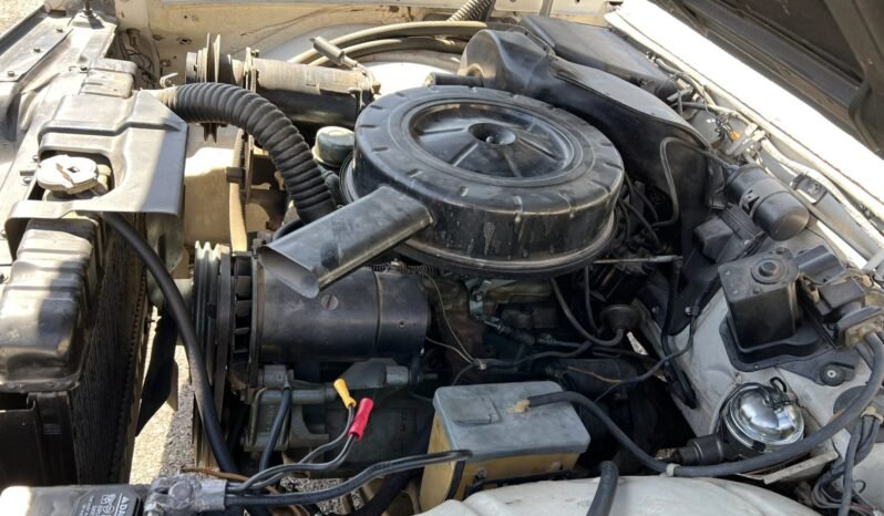 
								1962 Pontiac Tempest LeMans full									