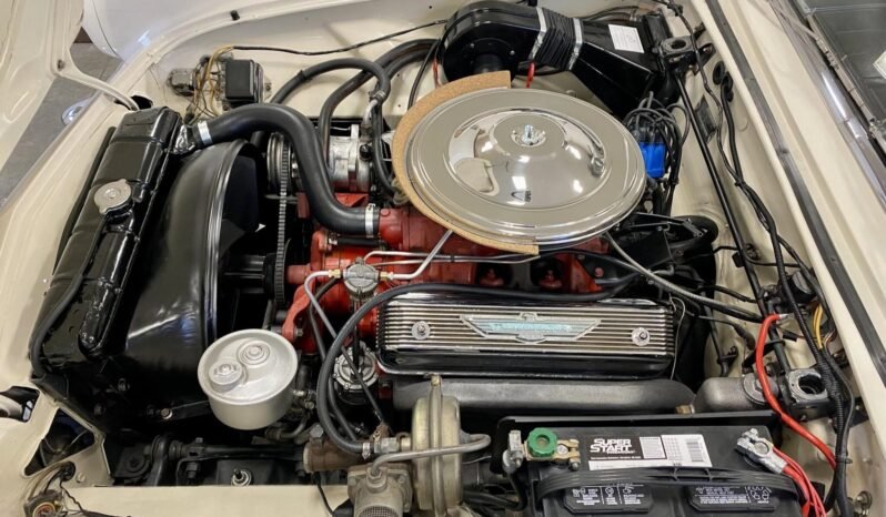 
								1957 Ford Thunderbird V8 White full									