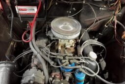 
										1950 Ford F-1 302CI V8 full									