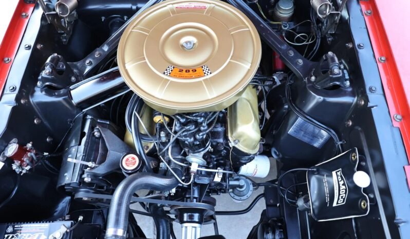 
								1964 Ford Mustang Convertible full									