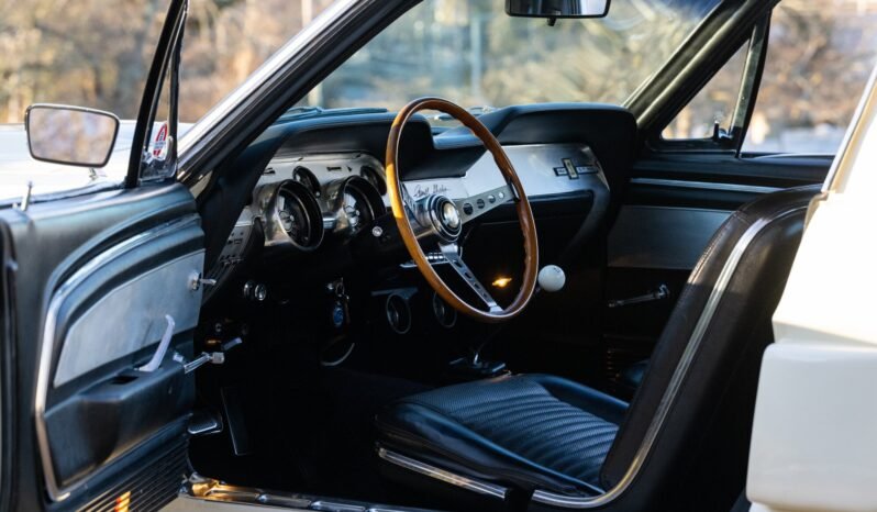 
								1967 Shelby Mustang GT500 White full									