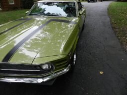 1970 Ford Mustang Boss 302 Medium Lime