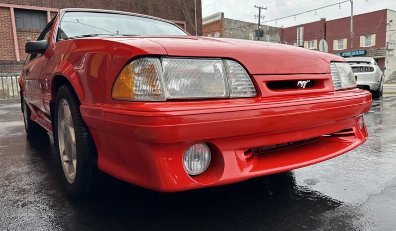 
								1993 Ford Mustang SVT Cobra 5-Speed full									