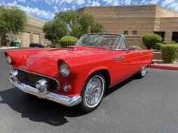 1955 Ford Thunderbird Roadster V8