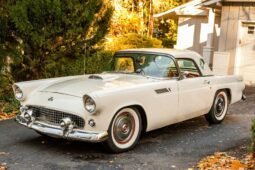 1955 Ford Thunderbird White