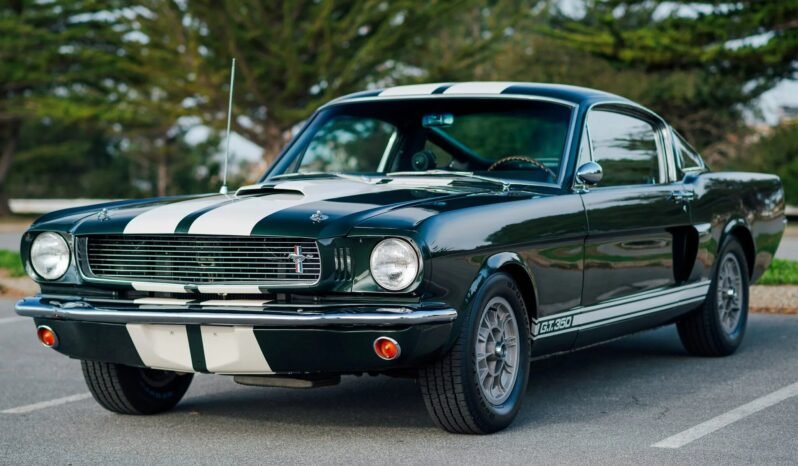 
								1966 Shelby Mustang GT350 289CI V8 full									
