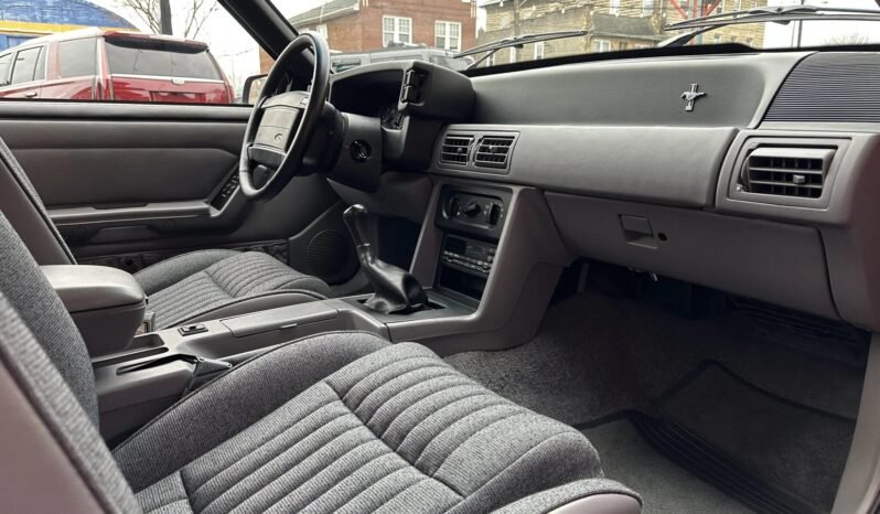 
								1993 Ford Mustang SVT Cobra 5-Speed full									