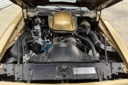 
										1978 Pontiac Firebird Trans AM Gold full									