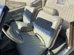 
										1969 Buick Electra 225 Custom full									