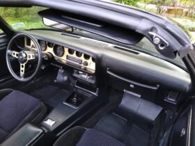 1979 Pontiac Firebird Trans Am Special Edition V8