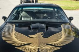1981 Pontiac Firebird Trans Am LS3