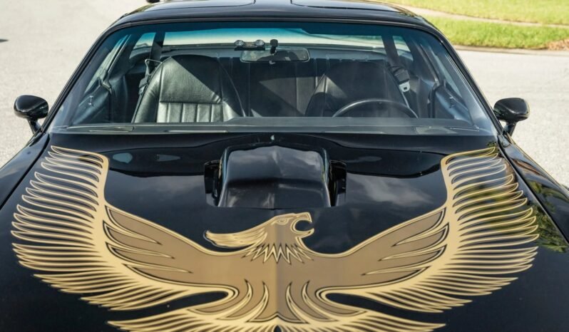 
								1981 Pontiac Firebird Trans Am LS3 full									