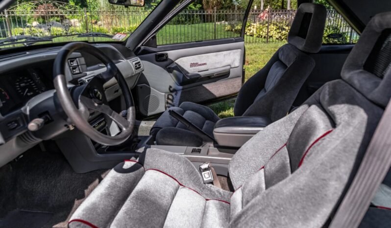 
								1987 Ford Mustang Saleen #175 full									