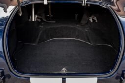 
										1965 Backdraft Racing Shelby Cobra full									