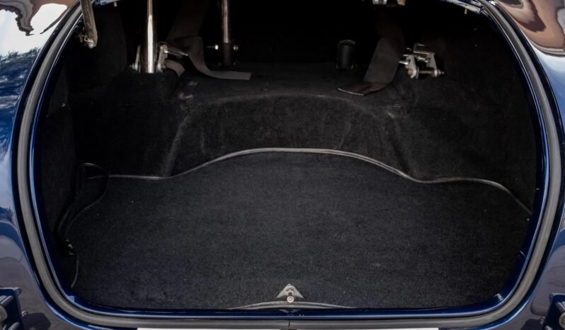 
								1965 Backdraft Racing Shelby Cobra full									