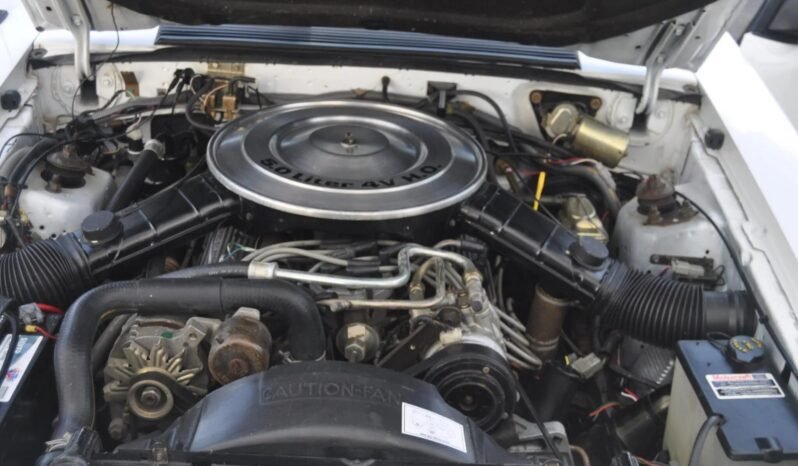 
								1984 Ford Mustang GT full									