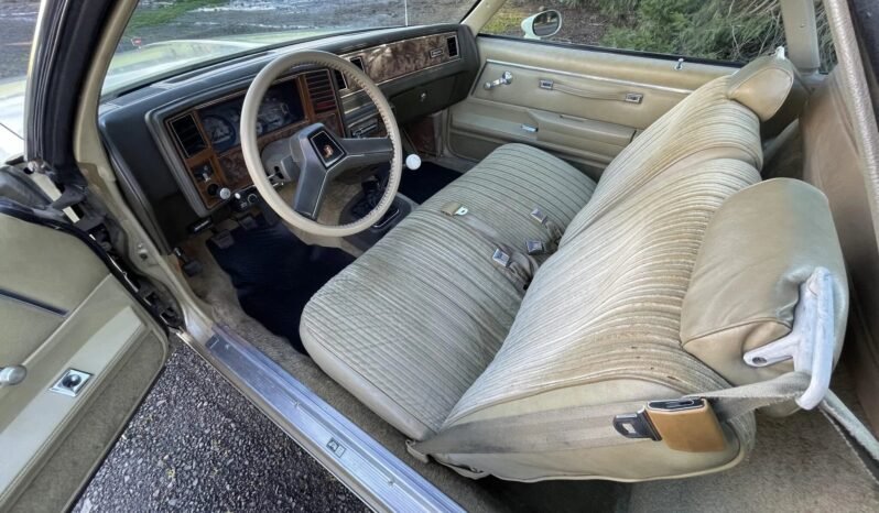 
								1981 Chevrolet El Camino Conquista full									