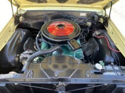 
										1965 Buick Skylark Gran Sport Coupe full									