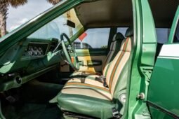 
										1973 AMC Hornet X Gucci full									