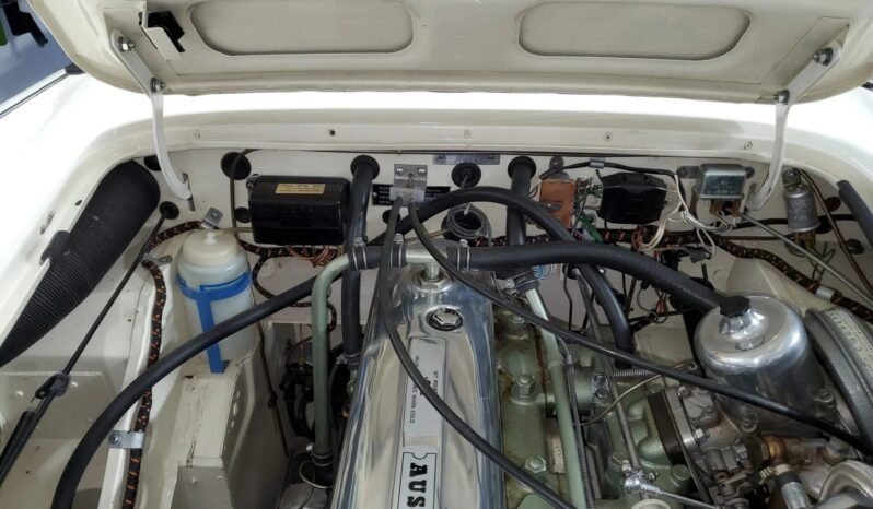 
								1967 Austin-Healey 3000 BJ8 full									