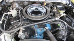 
										1981 Chevrolet Camaro Z/28 V8 full									