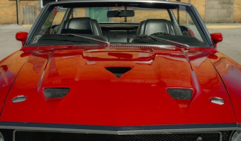 
								1969 Shelby Mustang GT500 Red full									