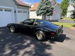 1979 Pontiac Firebird Trans AM Black