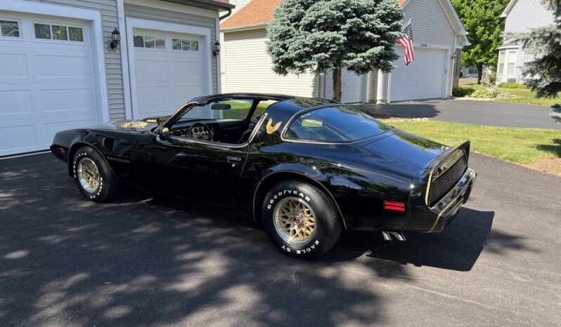 
								1979 Pontiac Firebird Trans AM Black full									