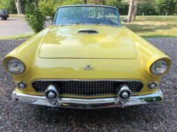 1955 Ford Thunderbird Roadster