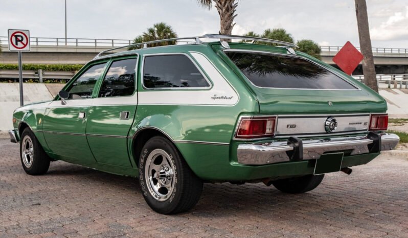 
								1973 AMC Hornet X Gucci full									