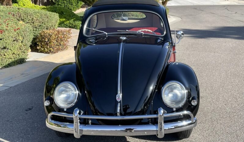 
								1957 Volkswagen Beetle full									