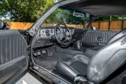 1979 Pontiac Firebird Trans AM 6-Speed