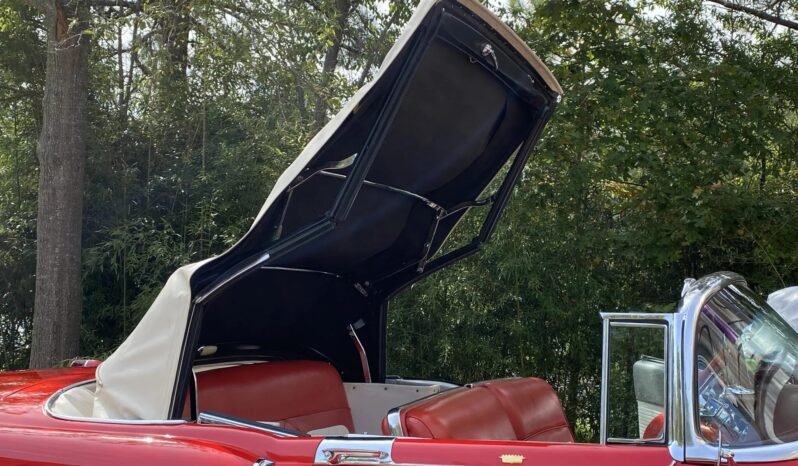 
								1954 Cadillac Eldorado Convertible full									