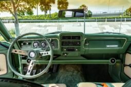 
										1973 AMC Hornet X Gucci full									