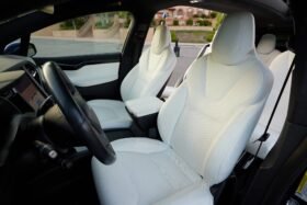 2018 Tesla Model X P100D Plaid
