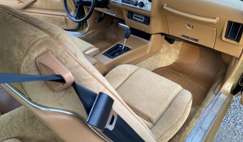 
								1978 Pontiac Firebird Trans AM 400 W72 V8 full									